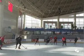 科普：轮滑冰球图片