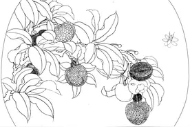 工笔花鸟 宋画白描 40幅！喜欢的收藏关注图片