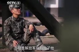 这十年的每一步，我都追随着你图片