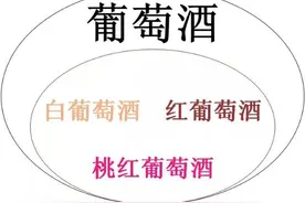 红酒VS葡萄酒？香槟VS起泡酒？傻傻分不清楚图片