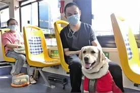 在宁波，盲人携带导盲犬出行方便吗？记者跟随一位盲人来了次现场直击图片
