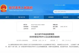 哈尔滨市出台15条措施 支持民营经济和中小企业发展图片