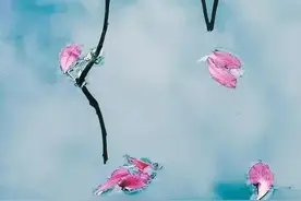 七律·飞花图片