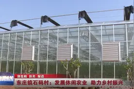 莆田市秀屿区东庄镇石码村：发展休闲农业  助力乡村振兴图片