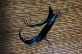 鸟屎掉头上了有没有什么说法？图片