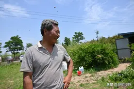 失去1条腿后，他收废品，贩青菜，卖猪肉，最后靠2箱蜜蜂逆袭人生图片