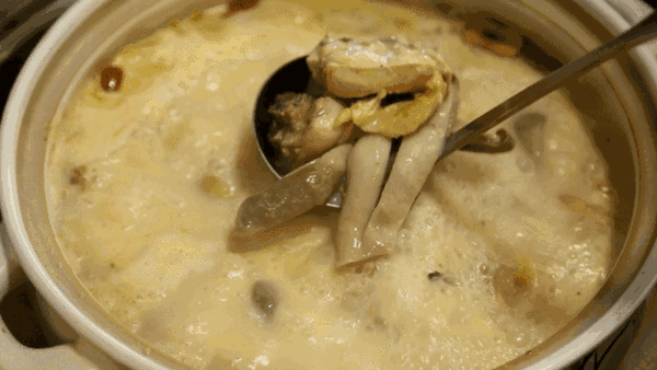 猪肚煲花胶冬虫草汤 2026年猪肚煲花胶冬虫草汤的做法