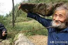 老爷子30年不剪头发，不刮胡子，洗次头的水让人看了难受图片
