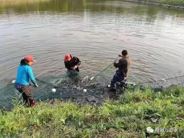 万德城 万德城水贝珠宝中心城(图7) 万德城 万德城水贝珠宝中心城(图7)