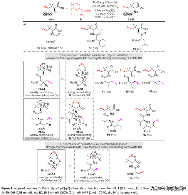 浙大史炳锋课题组Chem. Sci.：合成含大体积侧链的氨基酸和多肽