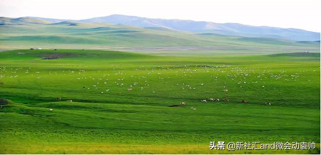 牛票讯息：70年破茧蝶变，通辽以现代农牧业构筑内蒙“粮仓肉库”