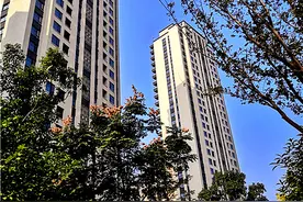 武汉军运村从香馍馍变成烫手山芋了？图片