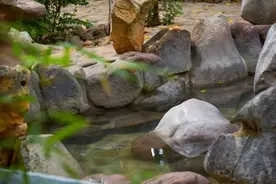 来建水三天极限挑战！住别墅泡氡泉的最少开销图片