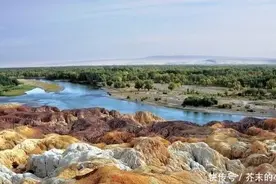 在新疆吃羊肉串，1串8斤重，结账时傻了：你没有算错？图片