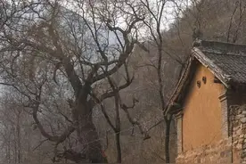 山西一土堆从不积雪，村民害怕不敢靠近，专家勘测后却喜出望外图片
