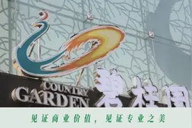 碧桂园“打虎”：房企为何热衷于反腐？图片