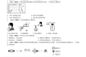 海南省2021年初中学业水平考试化学试卷图片