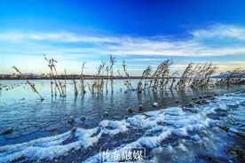 颜值爆表！洛阳陆浑水库出现冰封水面奇景图片