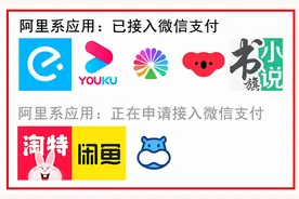 阿里接入微信支付后，最先被抛弃的可能不是支付宝图片