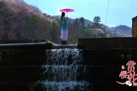 惊艳！跟着高清航拍镜头看樱花，光山这里美到令人窒息图片