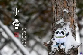 冰墩墩打卡二十四节气·小雪图片