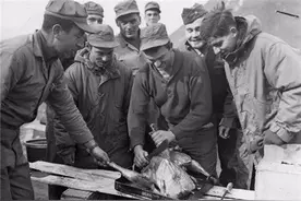 朝鲜战场，美军果真战斗意志薄弱？这样的说法和抗日神剧一样可耻图片