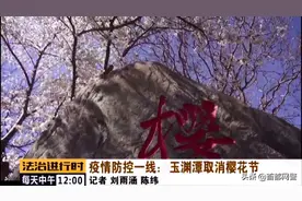 北京玉渊潭公园取消樱花节！图片
