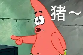 斗图表情包合集|人家害羞惹图片