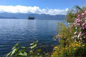 少年时期的感情珍贵而易逝图片