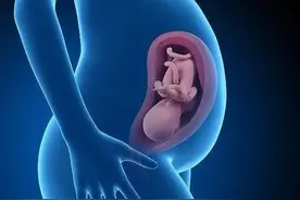 给未来的妈妈一封信，听听堕胎孩子的心声图片