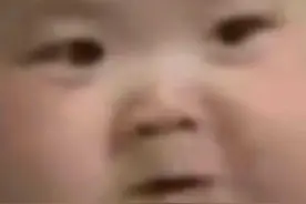 表情包：你这真的是野猪行为图片