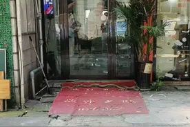 好多蛇！长沙街头惊现的“蛇出没”，暗示了什么？市民需更加注意图片
