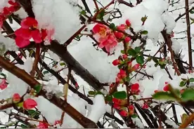给你一个读金庸的理由图片
