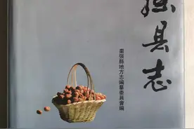 《平原枪声》档案——《枣强县志》图片