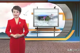 文旅泰安|泰安旅游商品又添新名片—黄精茶图片