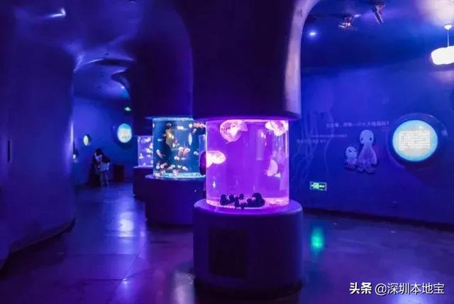 深圳海洋公园门票价格 深圳海洋公园门票价格2019年(图17) 深圳海洋公园门票价格 深圳海洋公园门票价格2019年(图17)