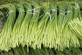 2020年4月30日全国各产区蒜苔价格图片