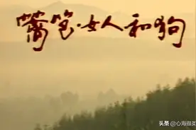 电视剧《篱笆女人与狗》|经典女人命运三部曲之一图片