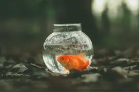 识别谎言有两个办法图片