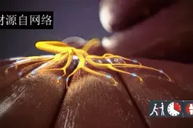 减脂增肌黑科技，云麦EMS健身装备体验评测图片