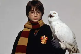 魔幻电影之旅，从《哈利·波特与魔法石》开始图片