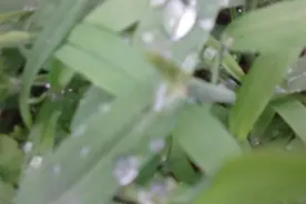 随拍随拍啊见笑啦图片