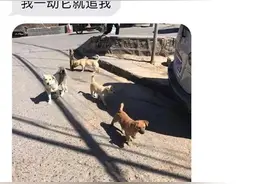 网友曝光和外卖小哥的聊天记录，简直全程高能！一个比一个沙雕图片