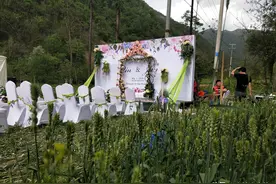 陕西小伙儿在自家麦地办婚礼，花费不足2千，效果上万图片