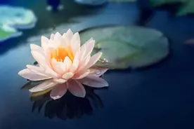 ​人活一辈子，有两件事很重要，可惜明白的人很少图片