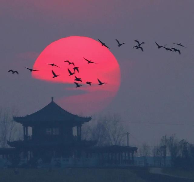 99%的广角都是废片​！为什么？