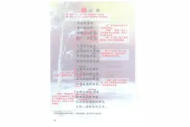 四年级语文下册，第11课《白桦》课堂笔记及全文解析图片
