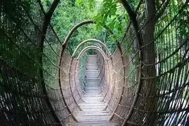 摄影师镜头下的桥：人在桥上，桥在景中，俯江亭上何人坐？图片