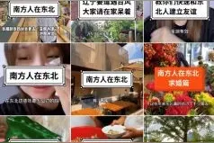 广东媳妇东北汉 当广普遭遇东北话，碰撞考验来了图片