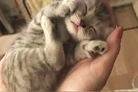 如果可以，我想跟生活请个假图片